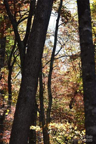 Tbd Clear Creek Road Burnsville NC 28714