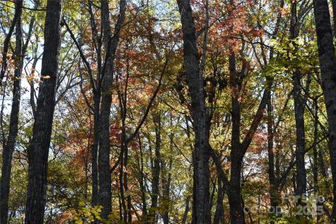 Tbd Clear Creek Road Burnsville NC 28714