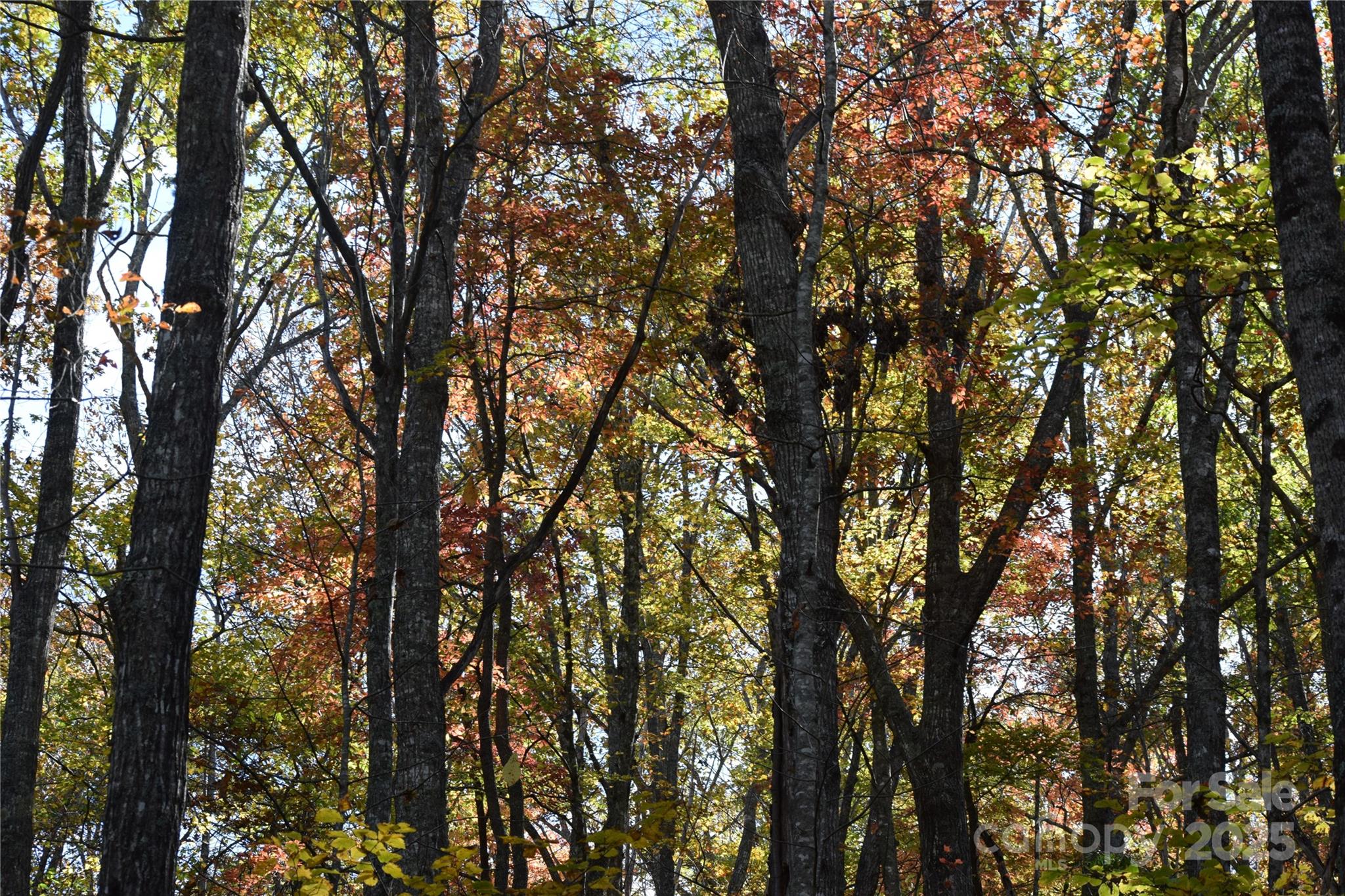Tbd Clear Creek Road Burnsville NC 28714