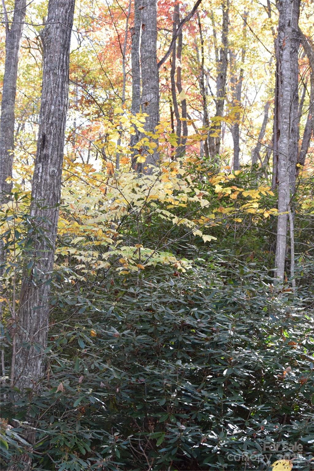 Tbd Clear Creek Road Burnsville NC 28714