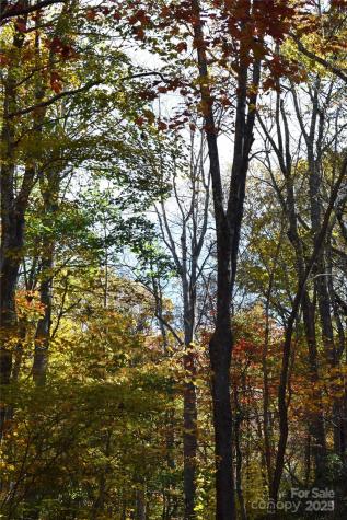 Tbd Clear Creek Road Burnsville NC 28714