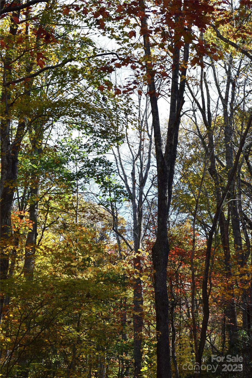 Tbd Clear Creek Road Burnsville NC 28714
