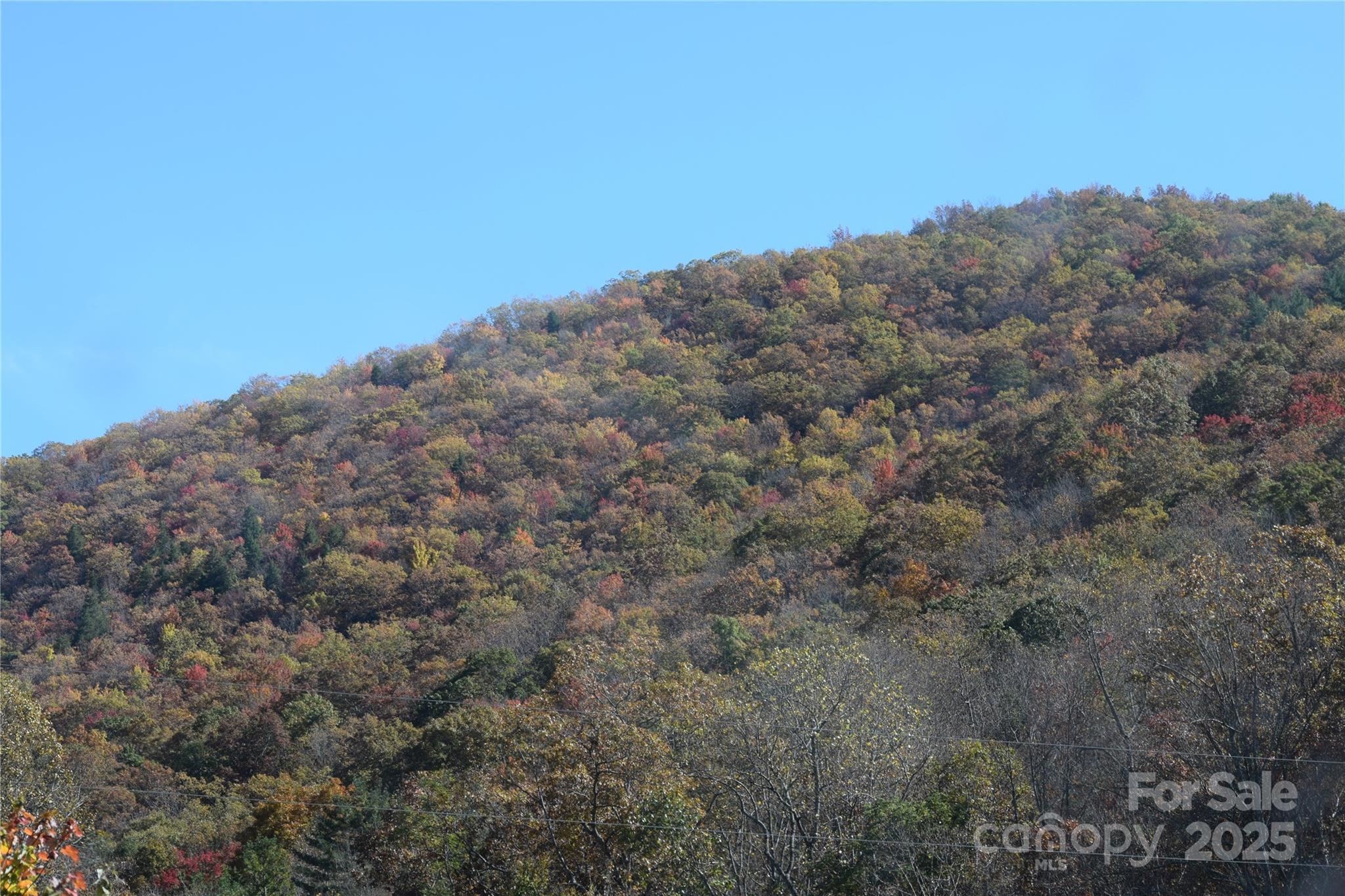 Tbd Clear Creek Road Burnsville NC 28714