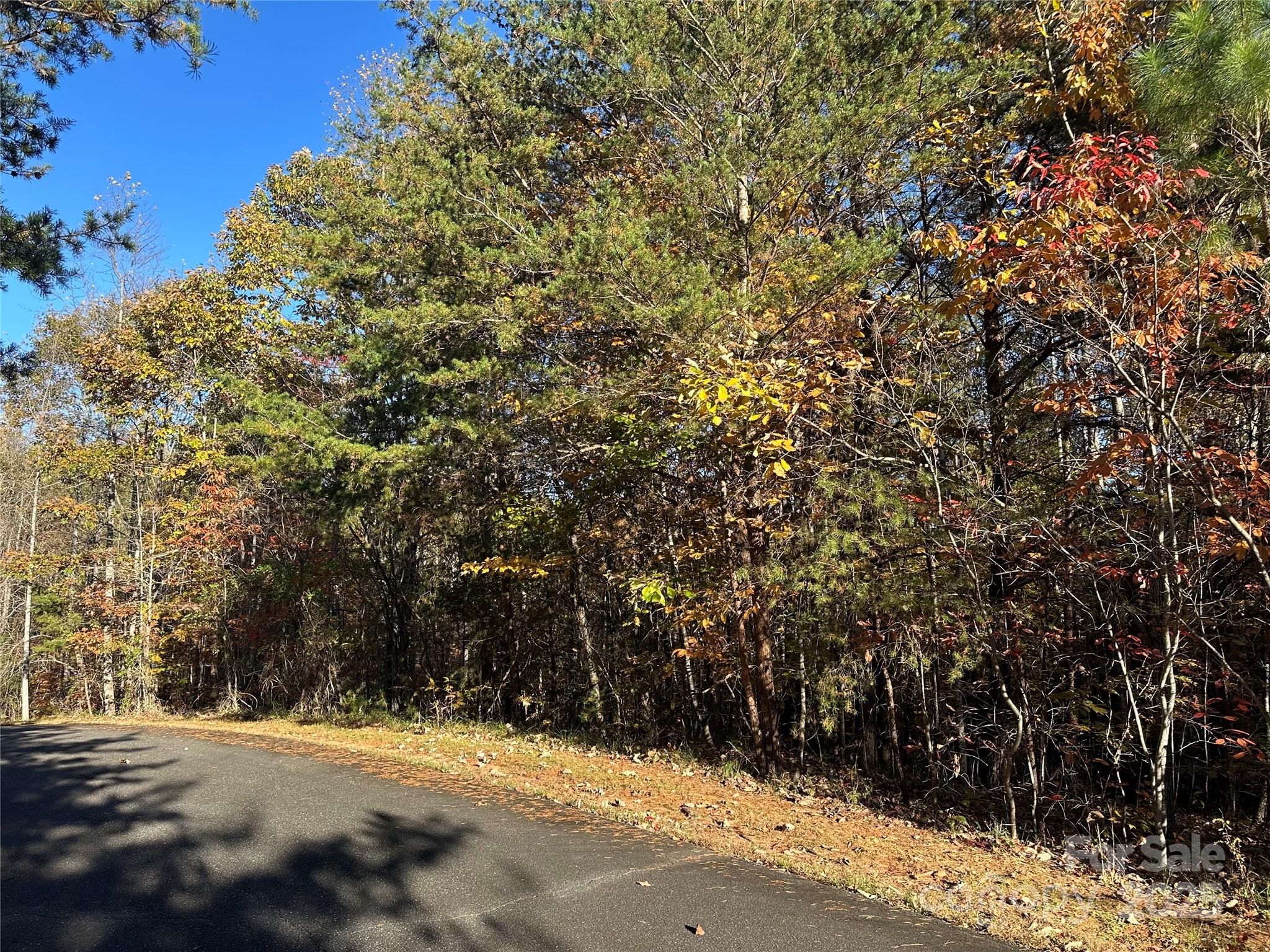 0 Rock Ledge Drive Lake Lure NC 28746