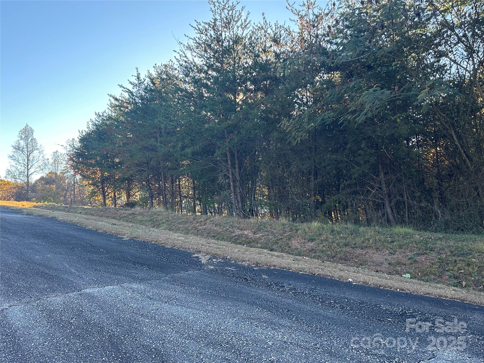 0 Rock Ledge Drive Lake Lure NC 28746
