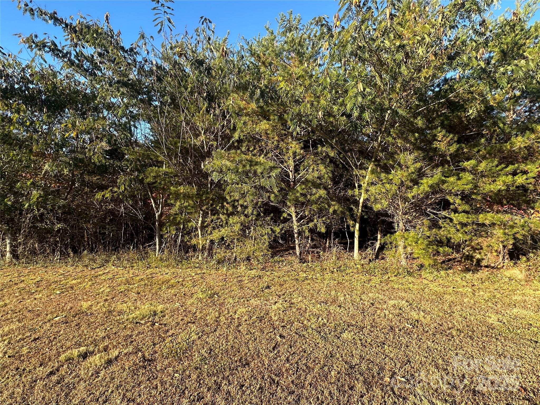 0 Rock Ledge Drive Lake Lure NC 28746