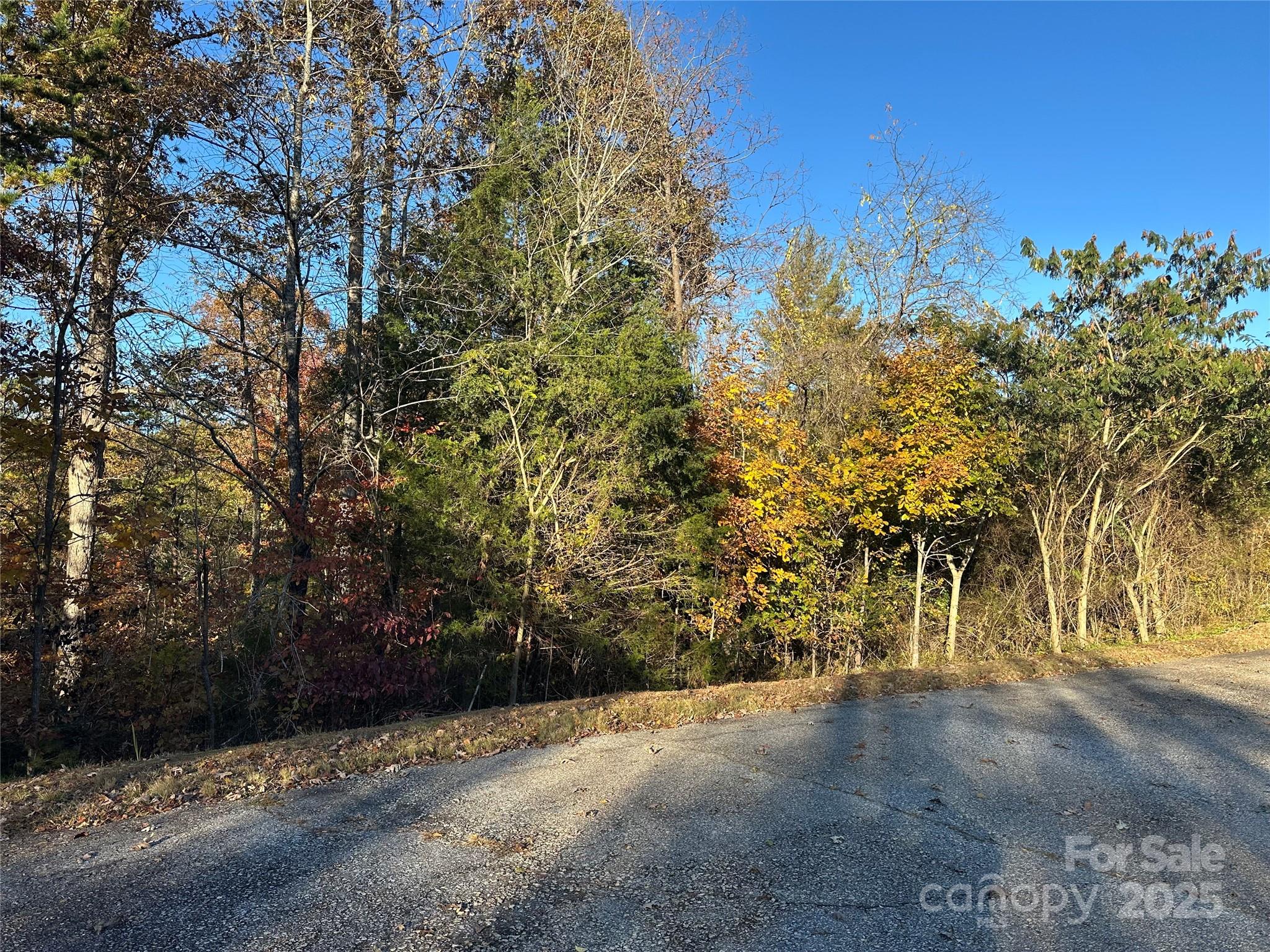 0 Rock Ledge Drive Lake Lure NC 28746