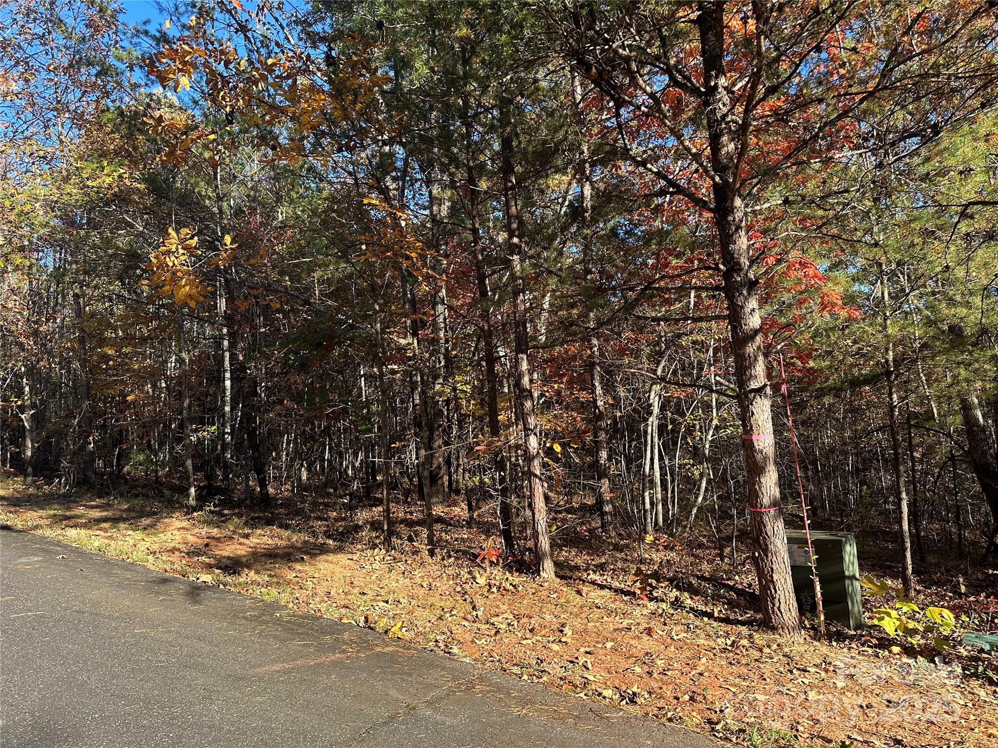 0 Rock Ledge Drive Lake Lure NC 28746