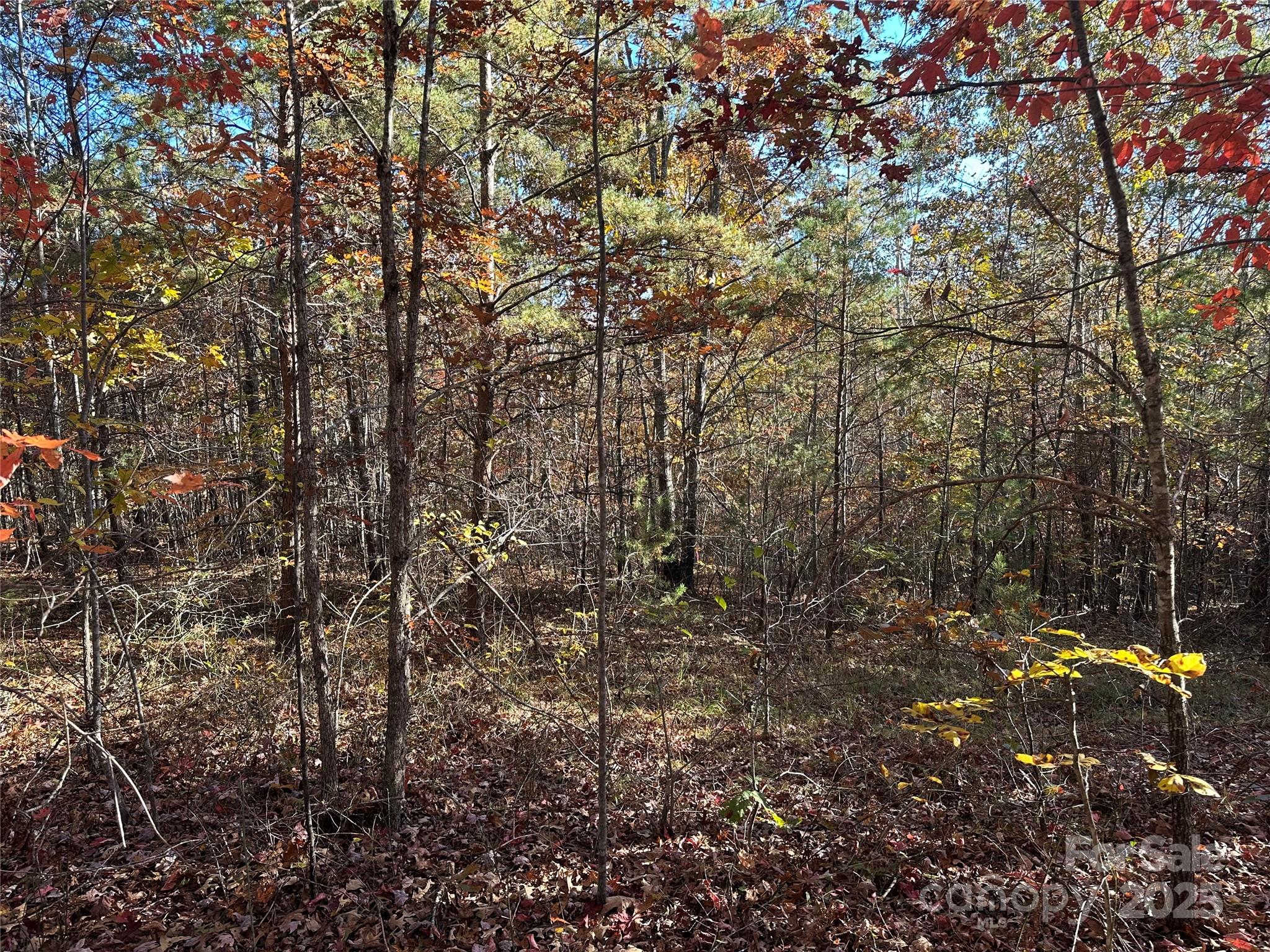 0 Rock Ledge Drive Lake Lure NC 28746
