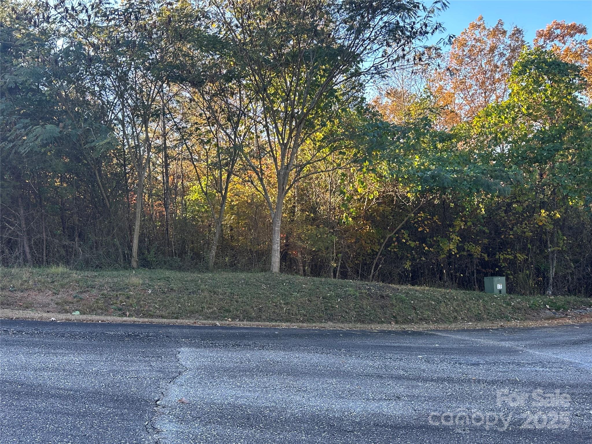 0 Rock Ledge Drive Lake Lure NC 28746