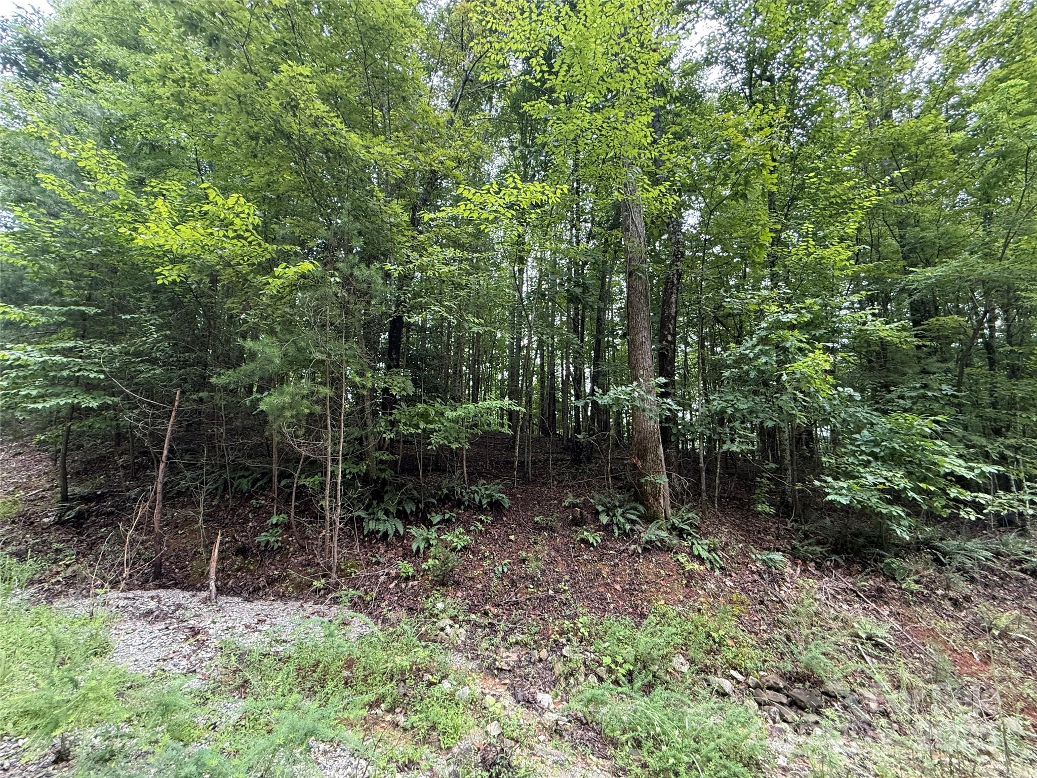 0 Woodchuck Lane Marion NC 28752