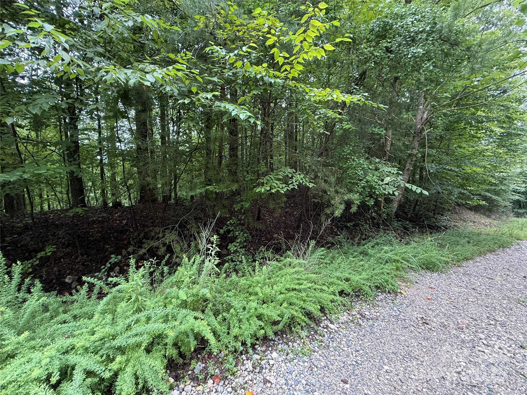0 Woodchuck Lane Marion NC 28752