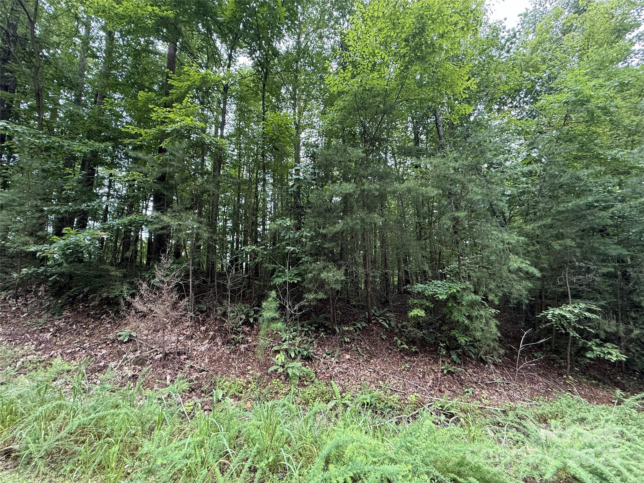 0 Woodchuck Lane Marion NC 28752