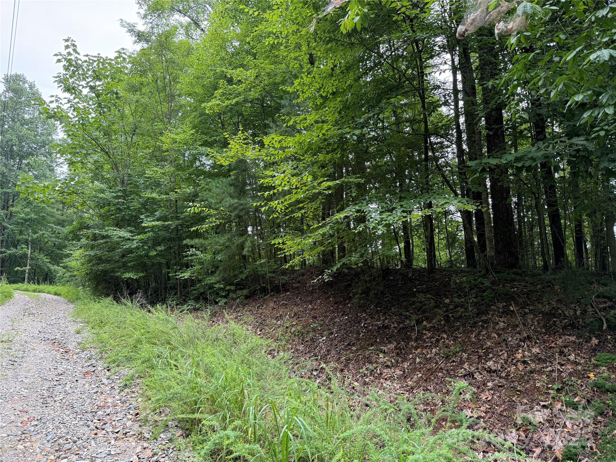 0 Woodchuck Lane Marion NC 28752