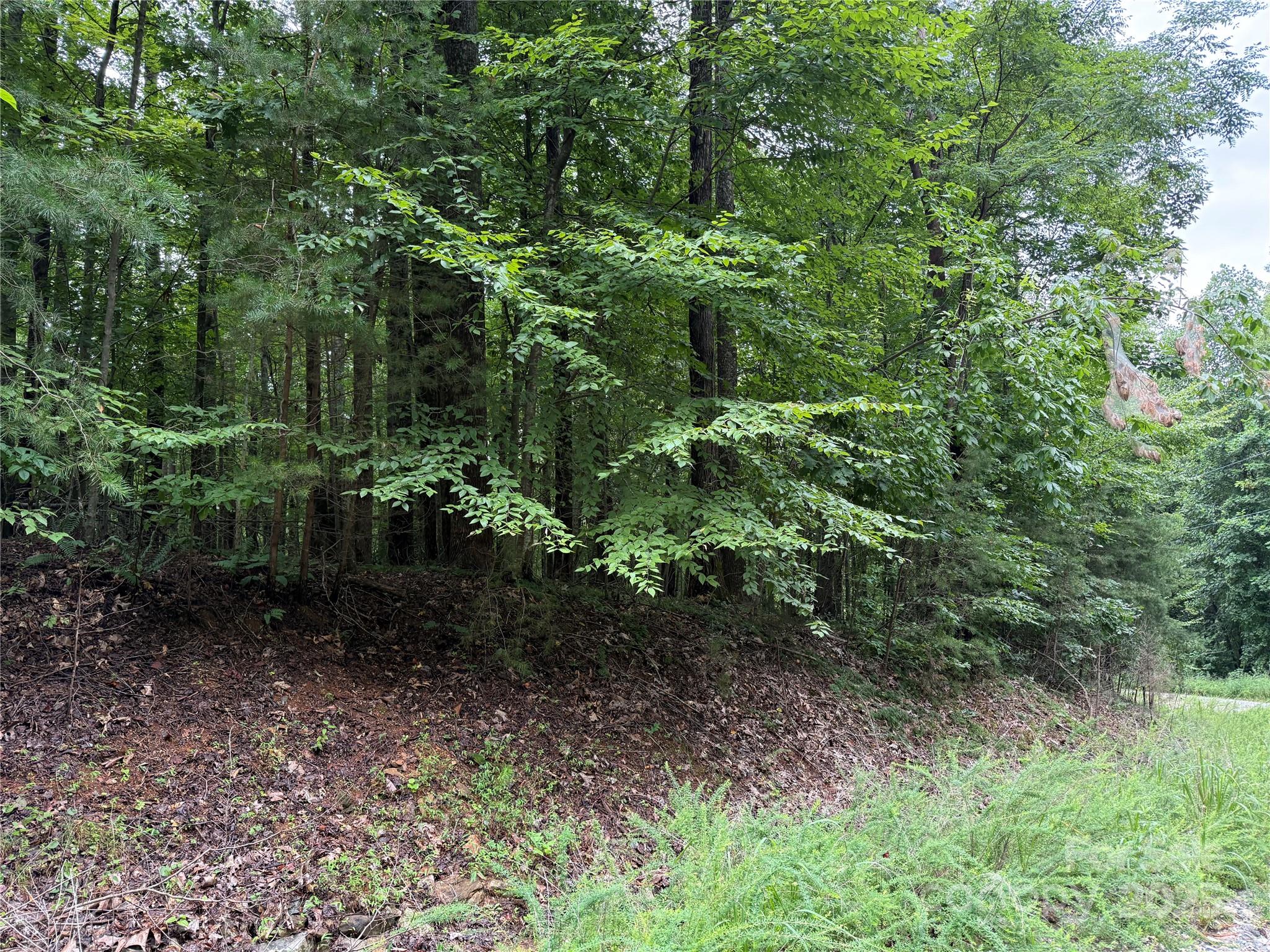 0 Woodchuck Lane Marion NC 28752