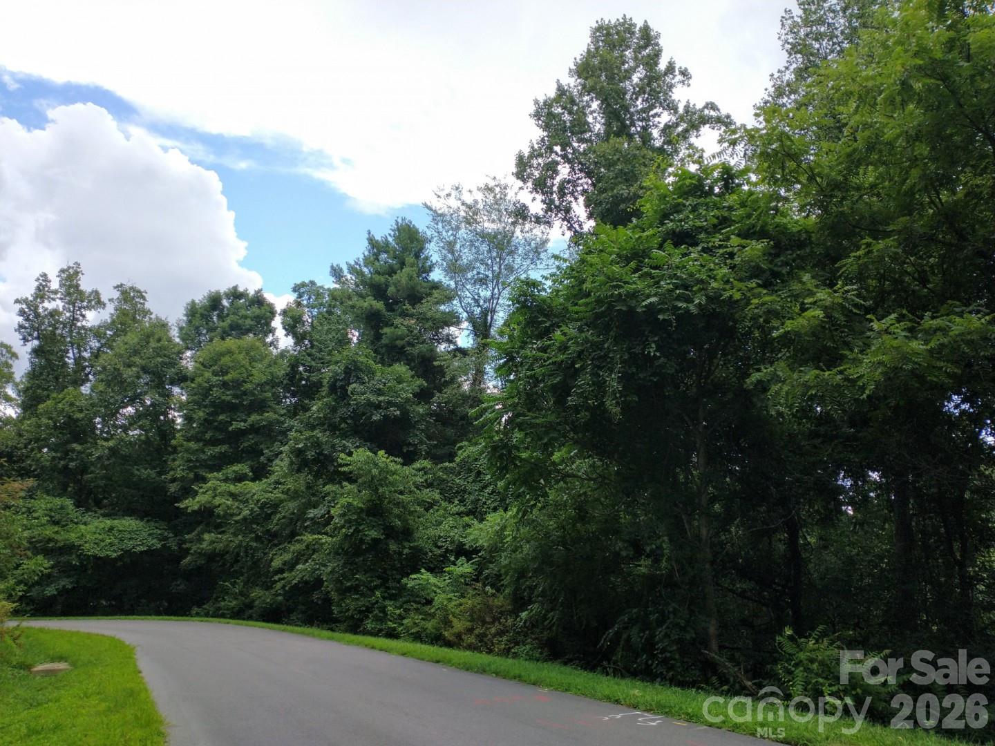 197 Starling Pass Asheville NC 28804