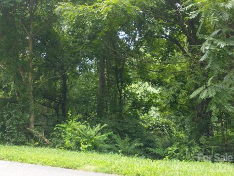 197 Starling Pass Asheville NC 28804