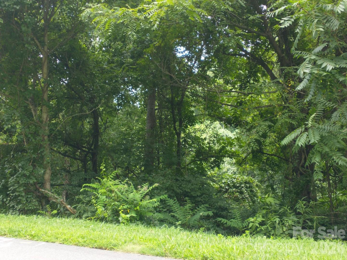 197 Starling Pass Asheville NC 28804