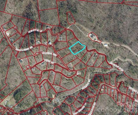 197 Starling Pass Asheville NC 28804