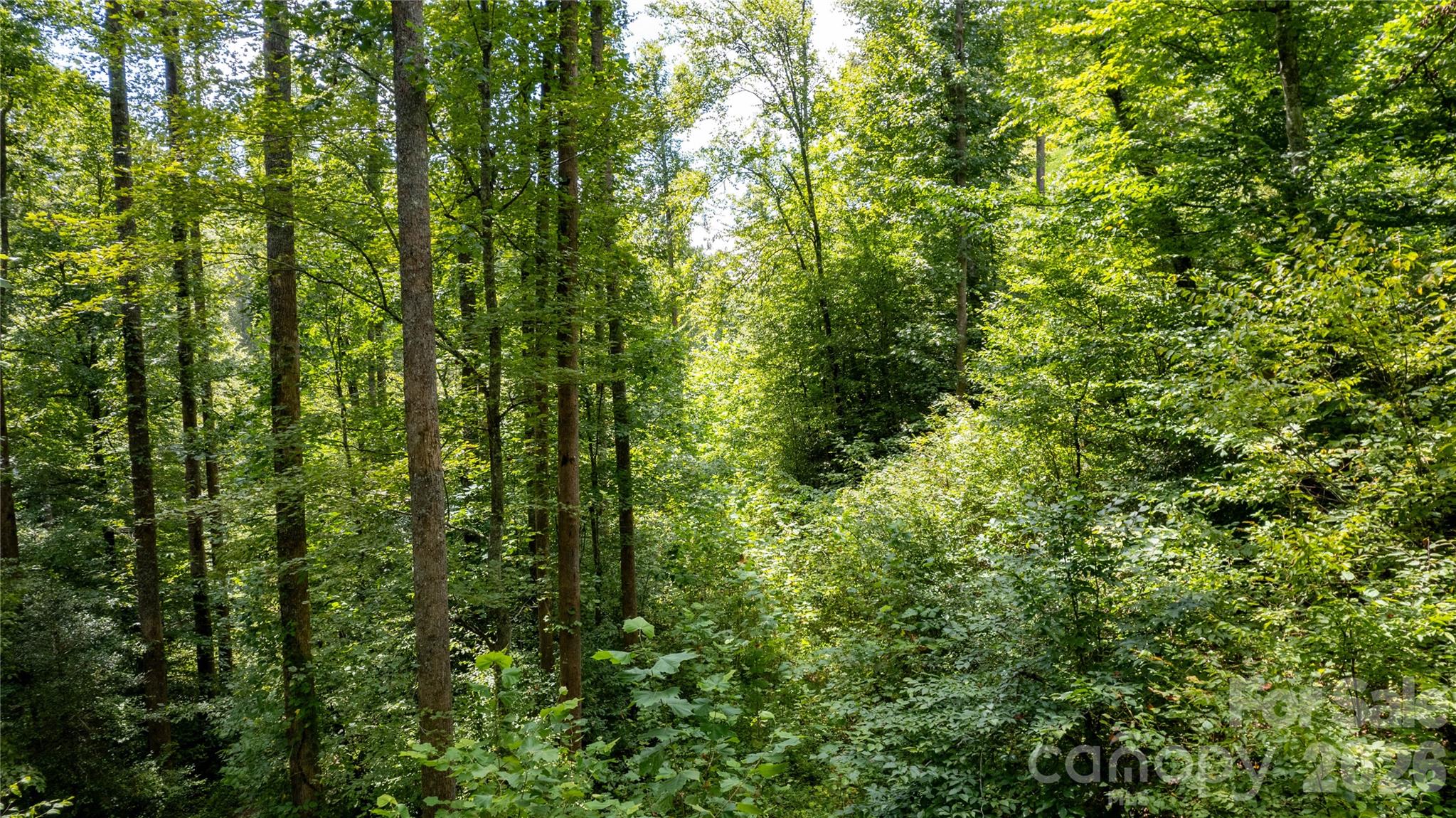 Tbd Collettsville Road Collettsville NC 28611