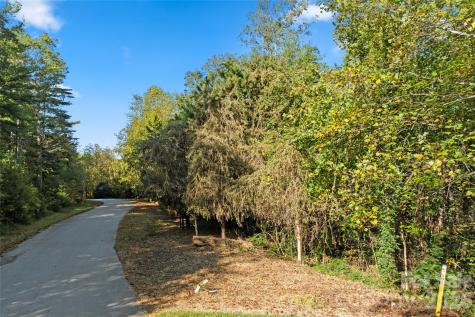 0 Cedar Hill Drive Asheville NC 28803