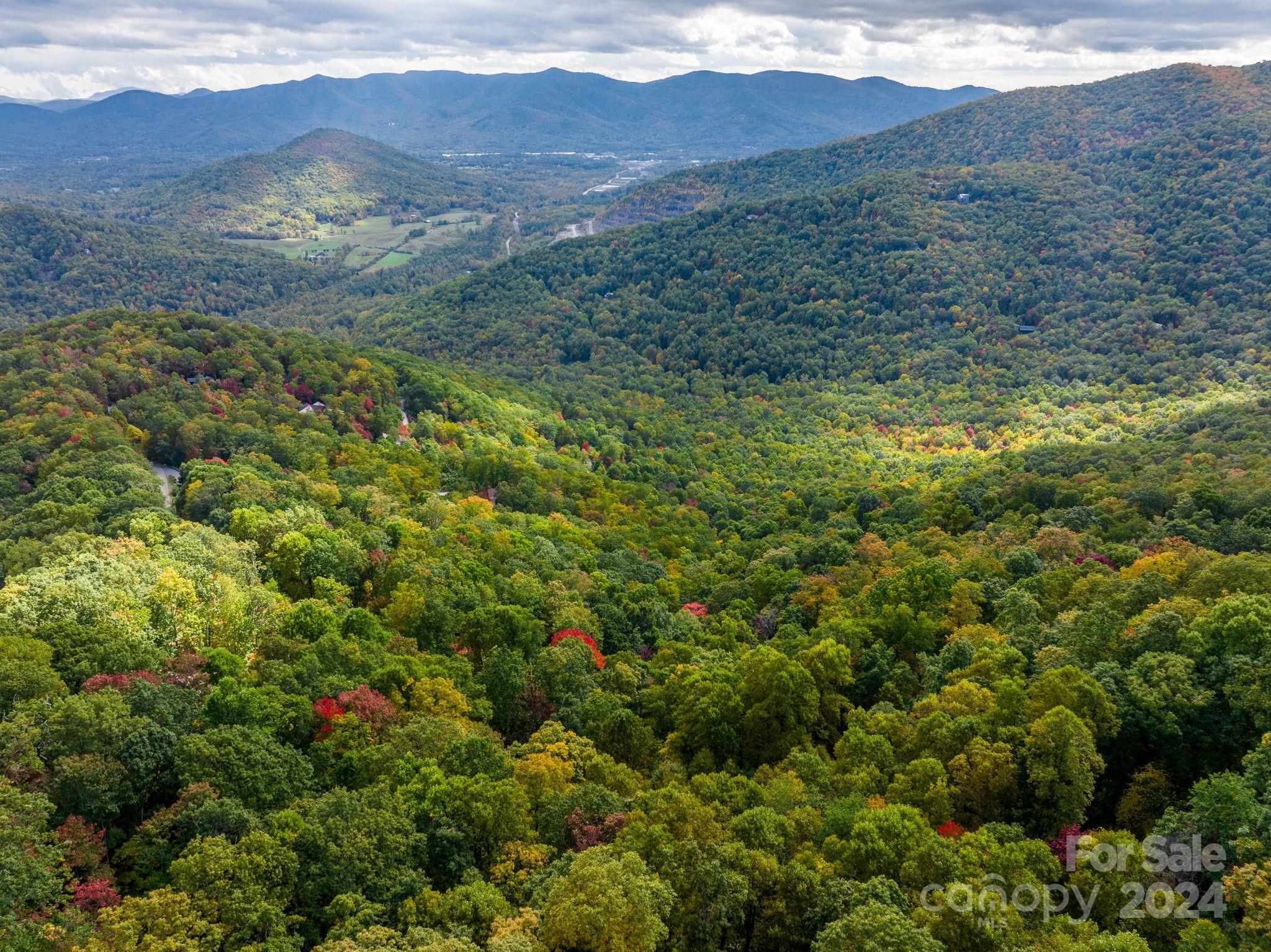 26 Wedgewood Terrace Black Mountain NC 28711