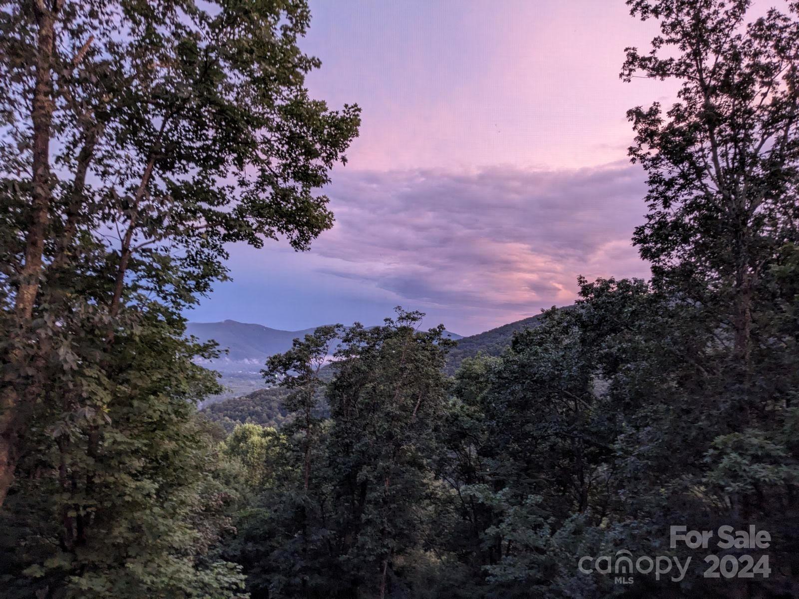 26 Wedgewood Terrace Black Mountain NC 28711