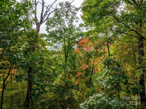 26 Wedgewood Terrace Black Mountain NC 28711