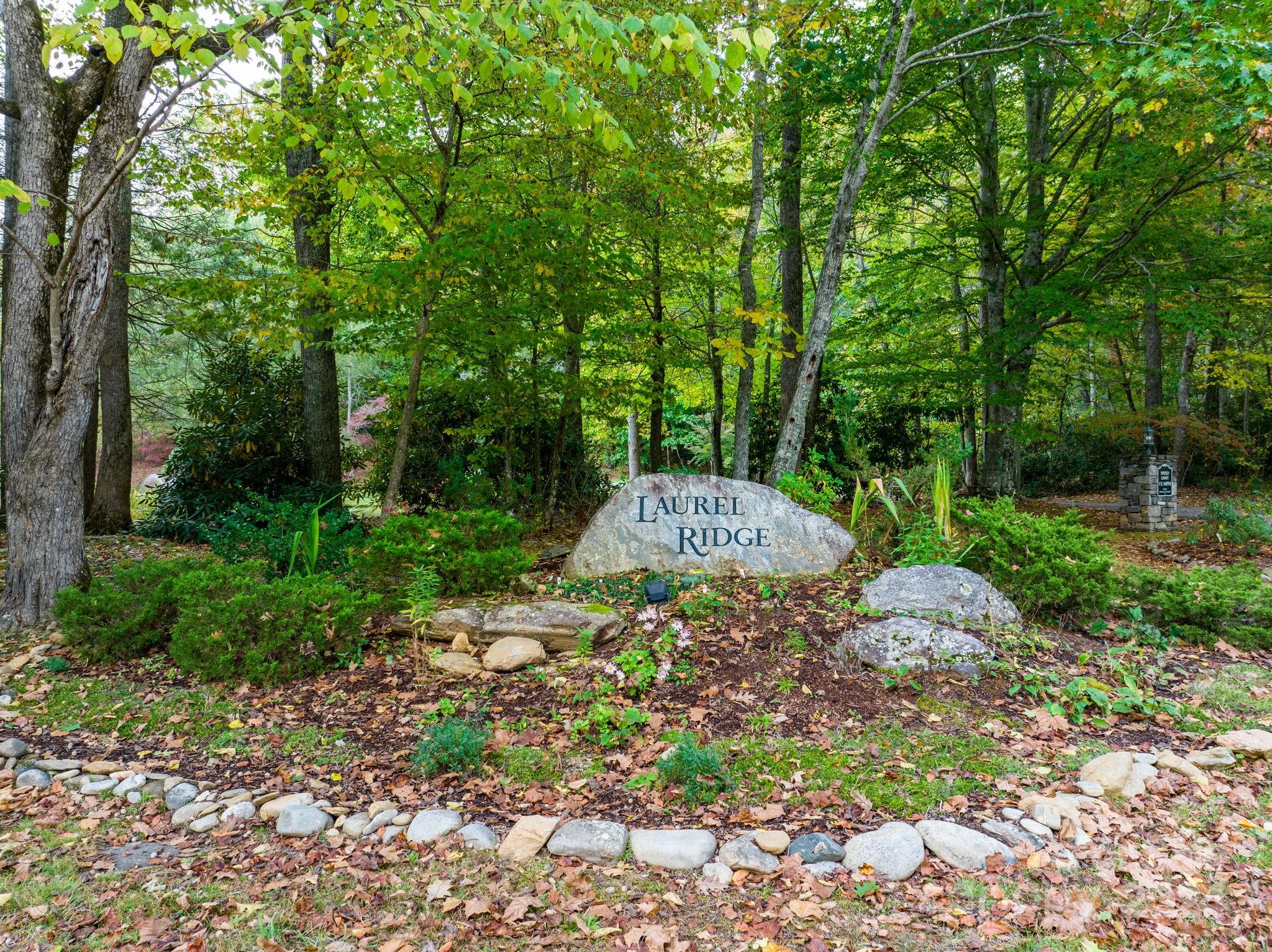 26 Wedgewood Terrace Black Mountain NC 28711