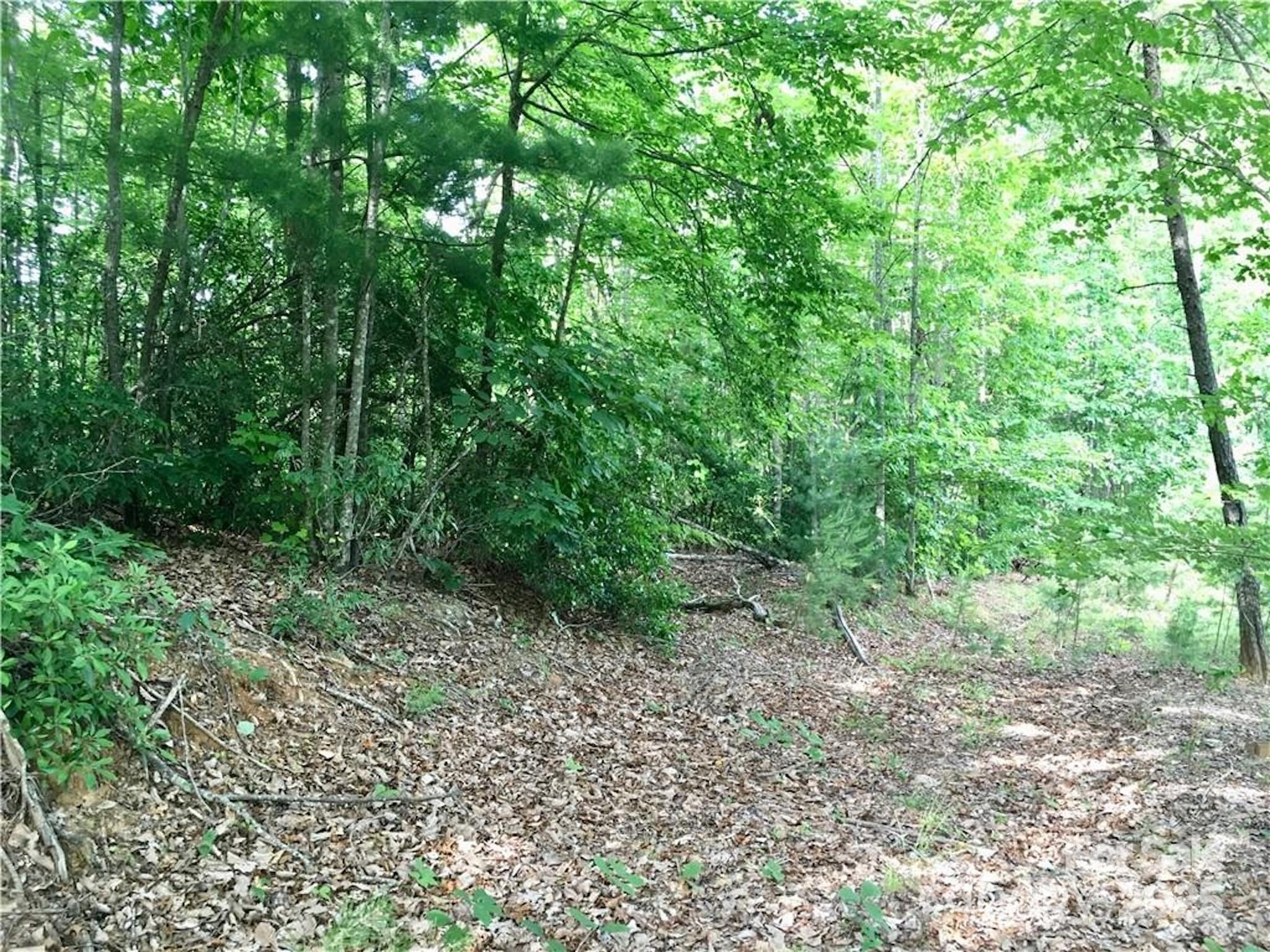 1.96 Acres, Lot 44 Round Mountain Parkway Lenoir NC 28645