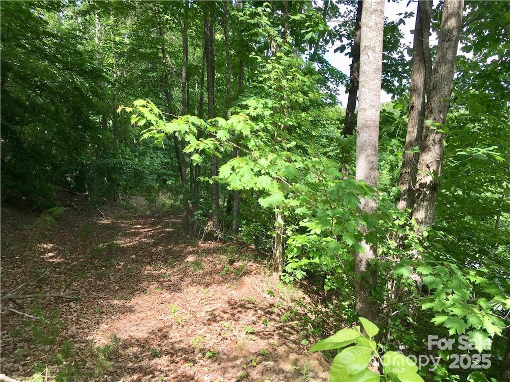 1.96 Acres, Lot 44 Round Mountain Parkway Lenoir NC 28645