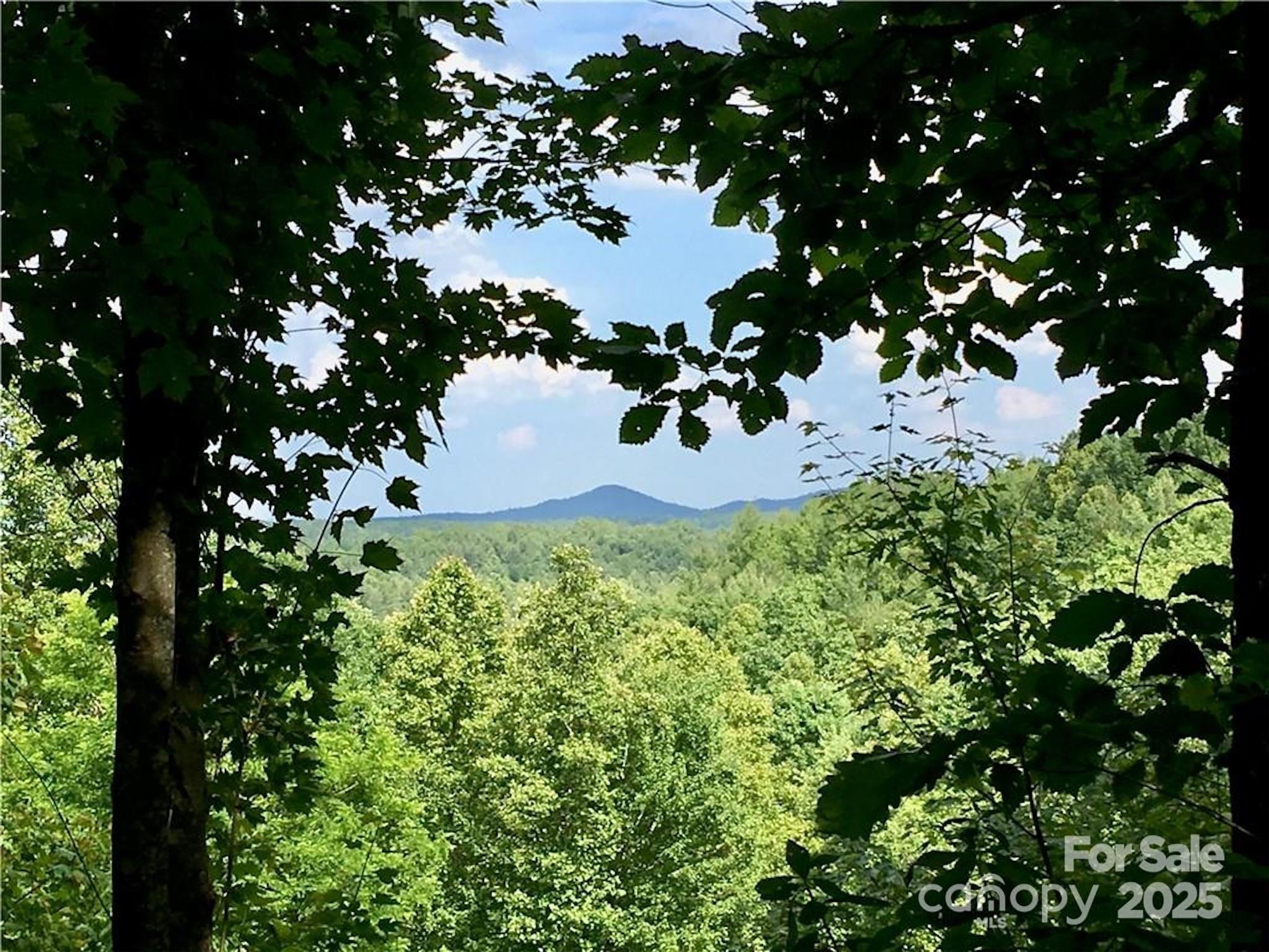 1.96 Acres, Lot 44 Round Mountain Parkway Lenoir NC 28645