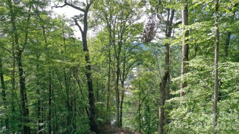 79 Bacon Drive Bryson City NC 28713