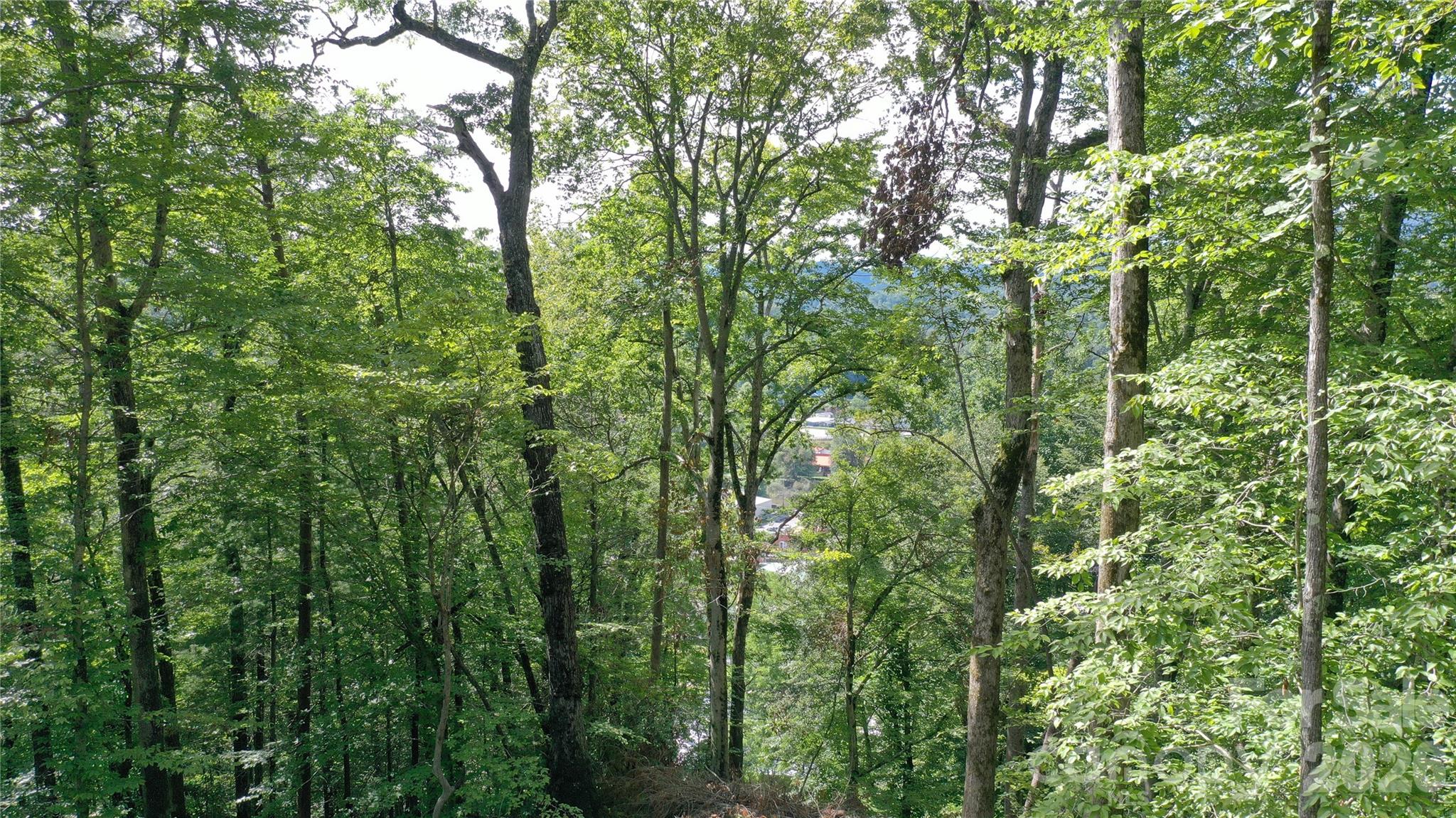 79 Bacon Drive Bryson City NC 28713