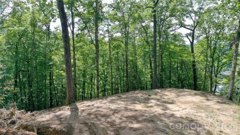 79 Bacon Drive Bryson City NC 28713