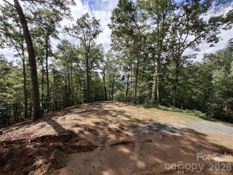 79 Bacon Drive Bryson City NC 28713