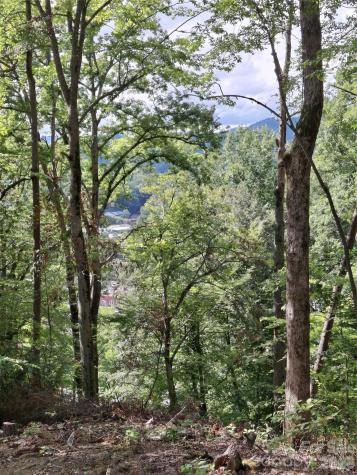 79 Bacon Drive Bryson City NC 28713