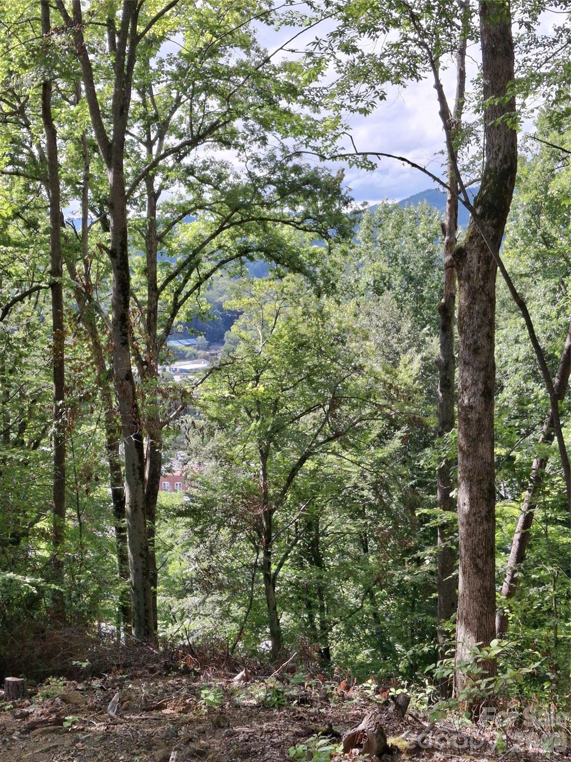 79 Bacon Drive Bryson City NC 28713