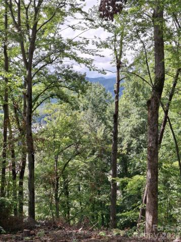 79 Bacon Drive Bryson City NC 28713