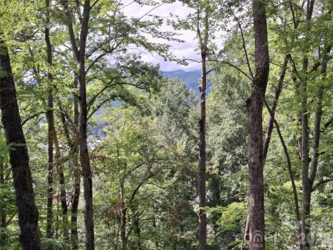 79 Bacon Drive Bryson City NC 28713