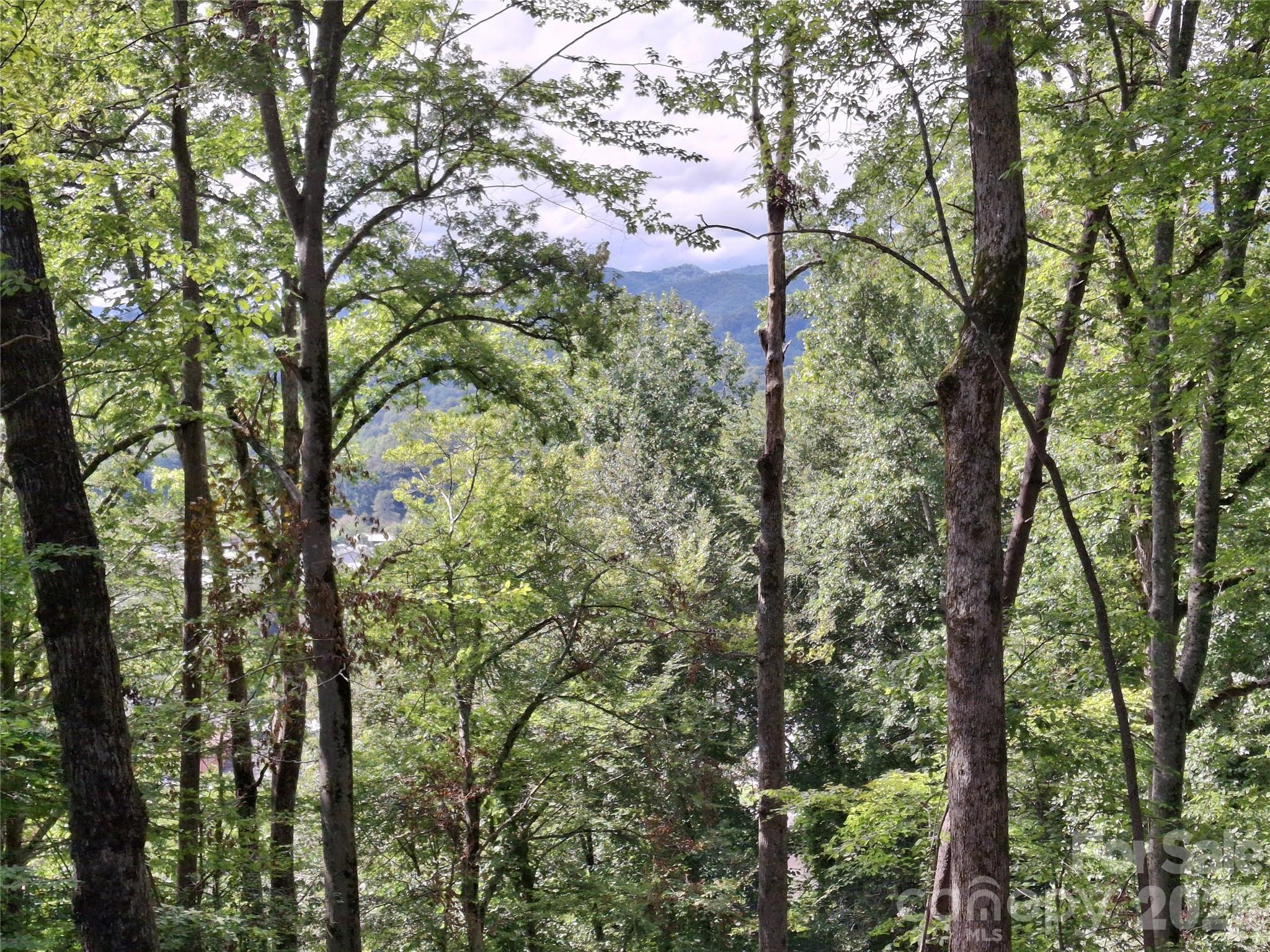 79 Bacon Drive Bryson City NC 28713