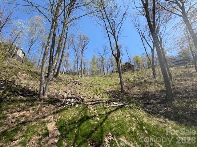 20 Cliff's Edge Drive Burnsville NC 28714