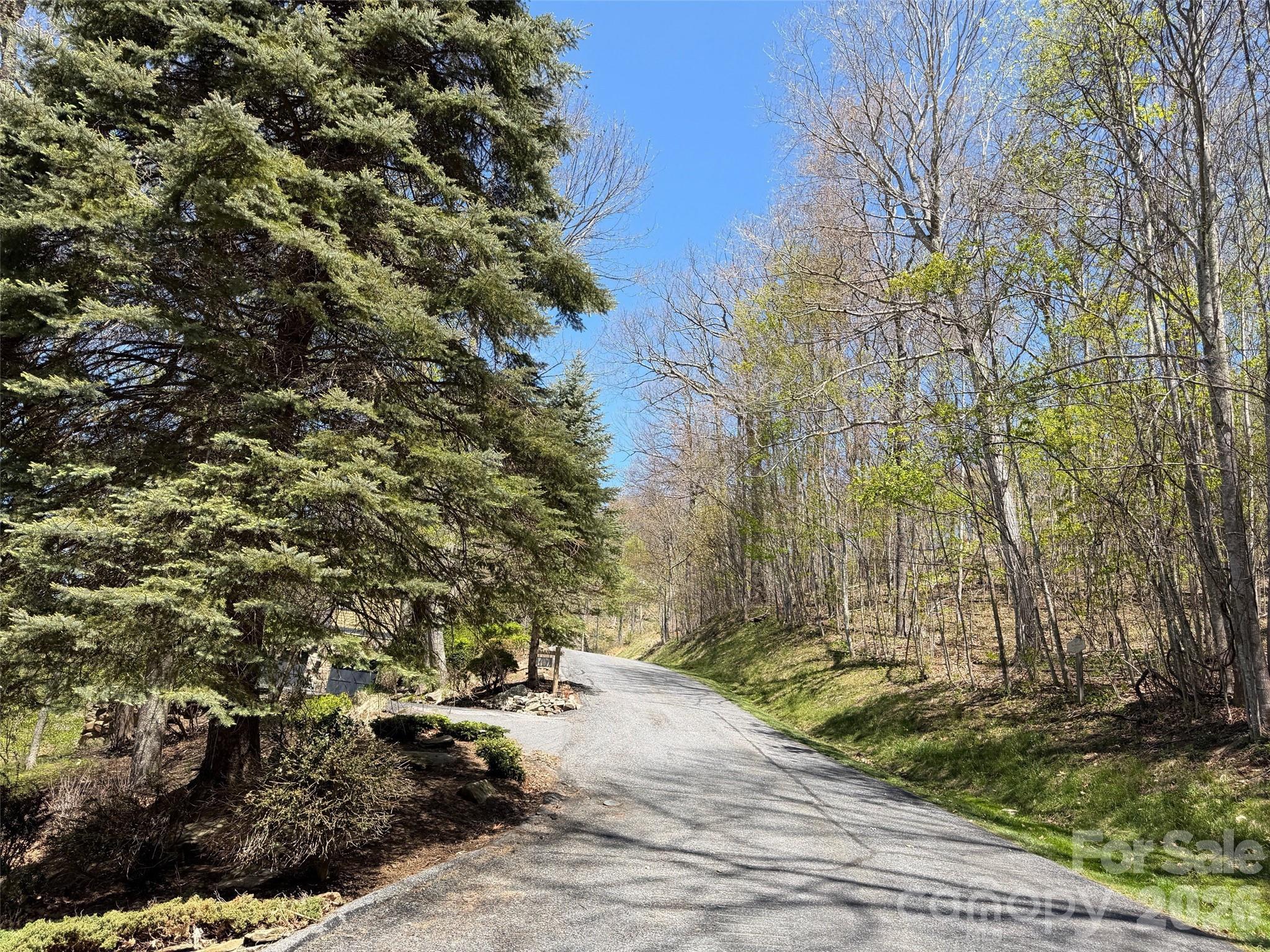 20 Cliff's Edge Drive Burnsville NC 28714
