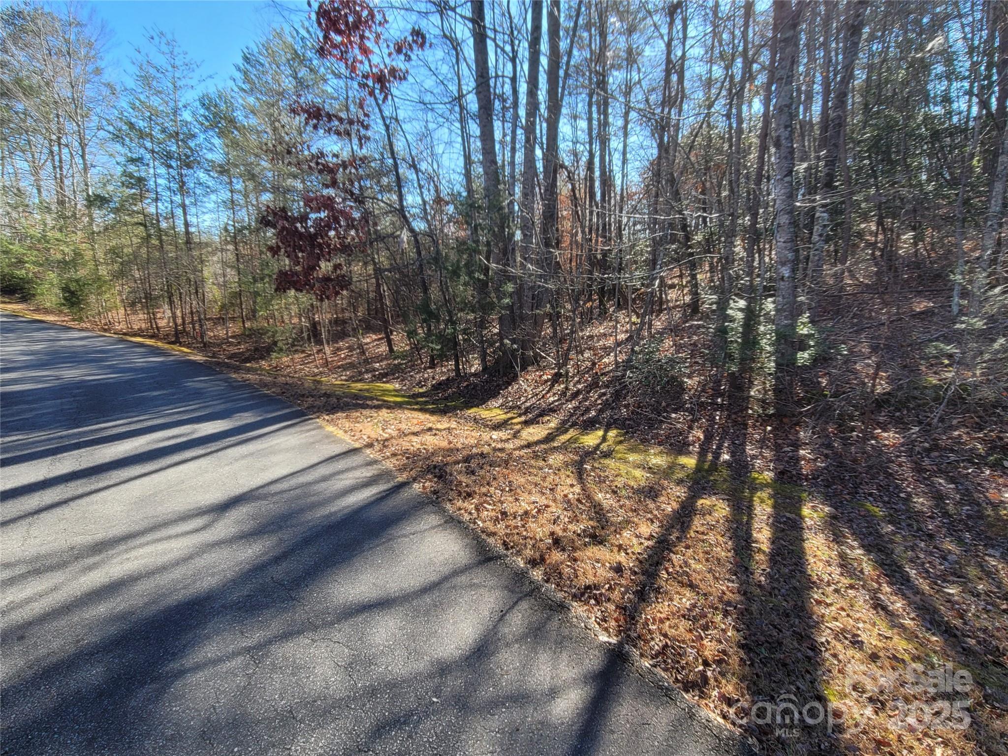 0 Mcowenben Pass Lake Lure NC 28746