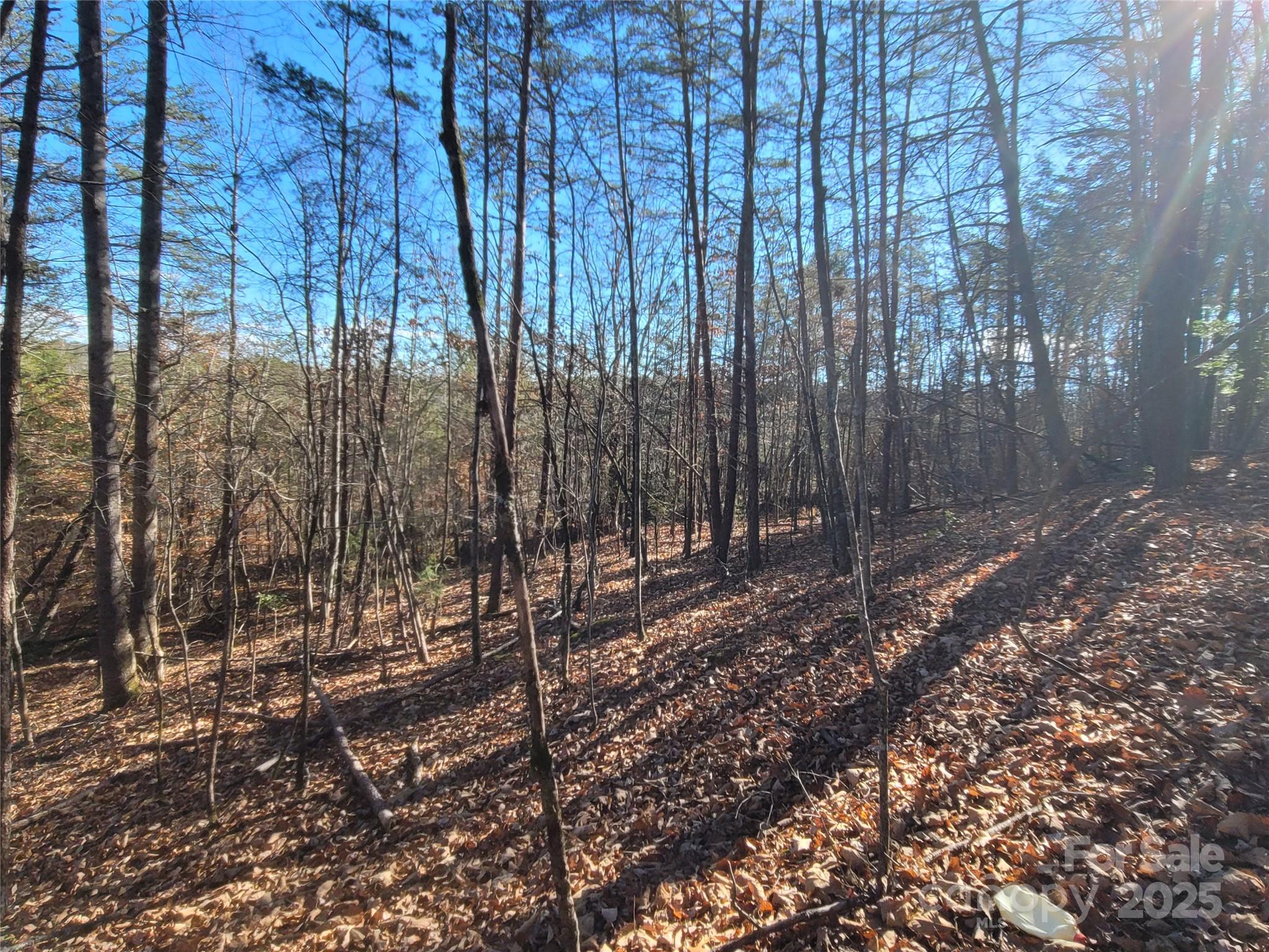0 Mcowenben Pass Lake Lure NC 28746