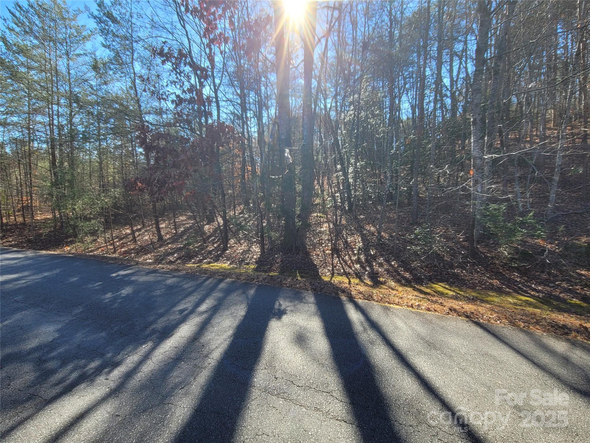 0 Mcowenben Pass Lake Lure NC 28746