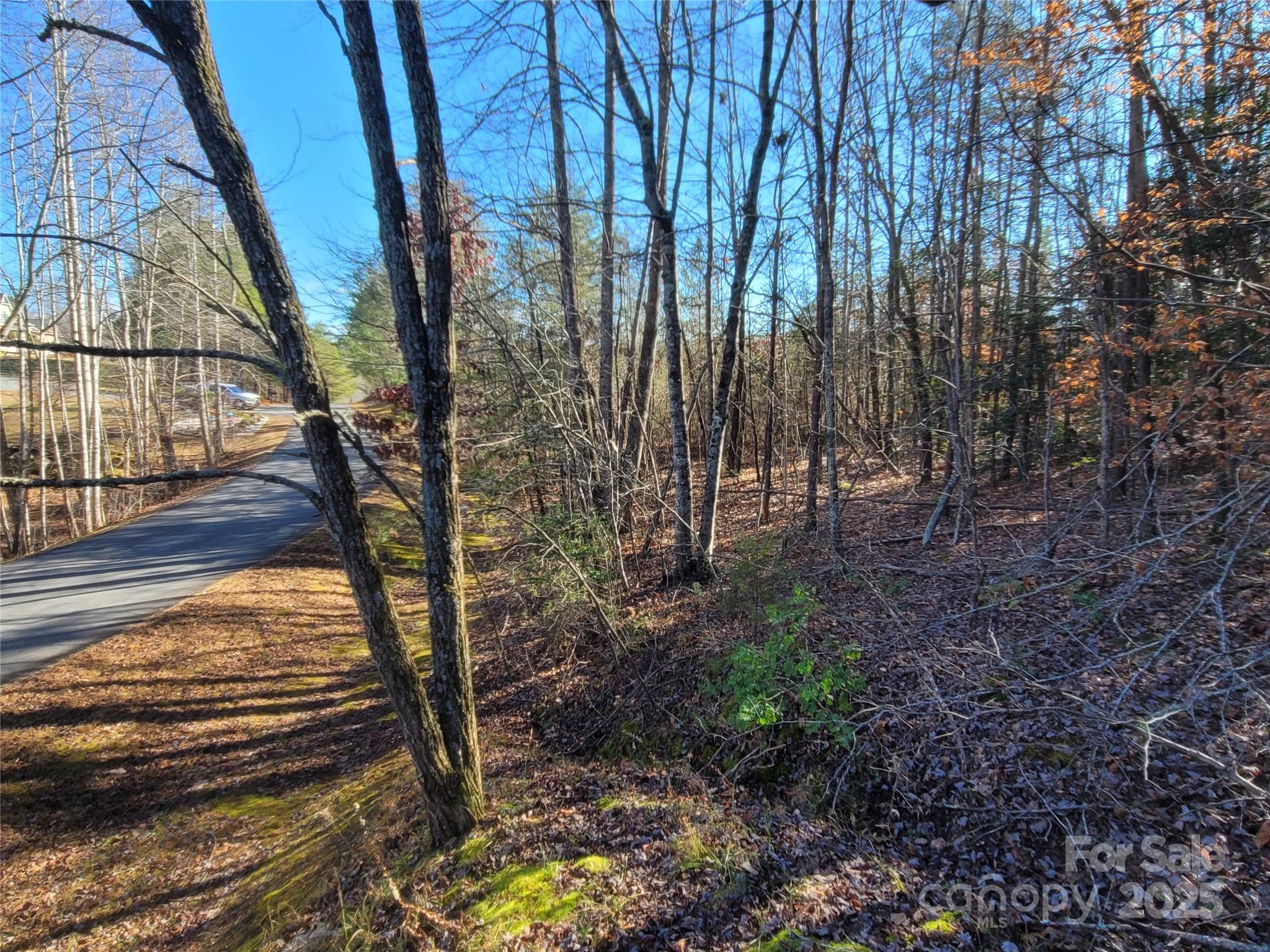 0 Mcowenben Pass Lake Lure NC 28746