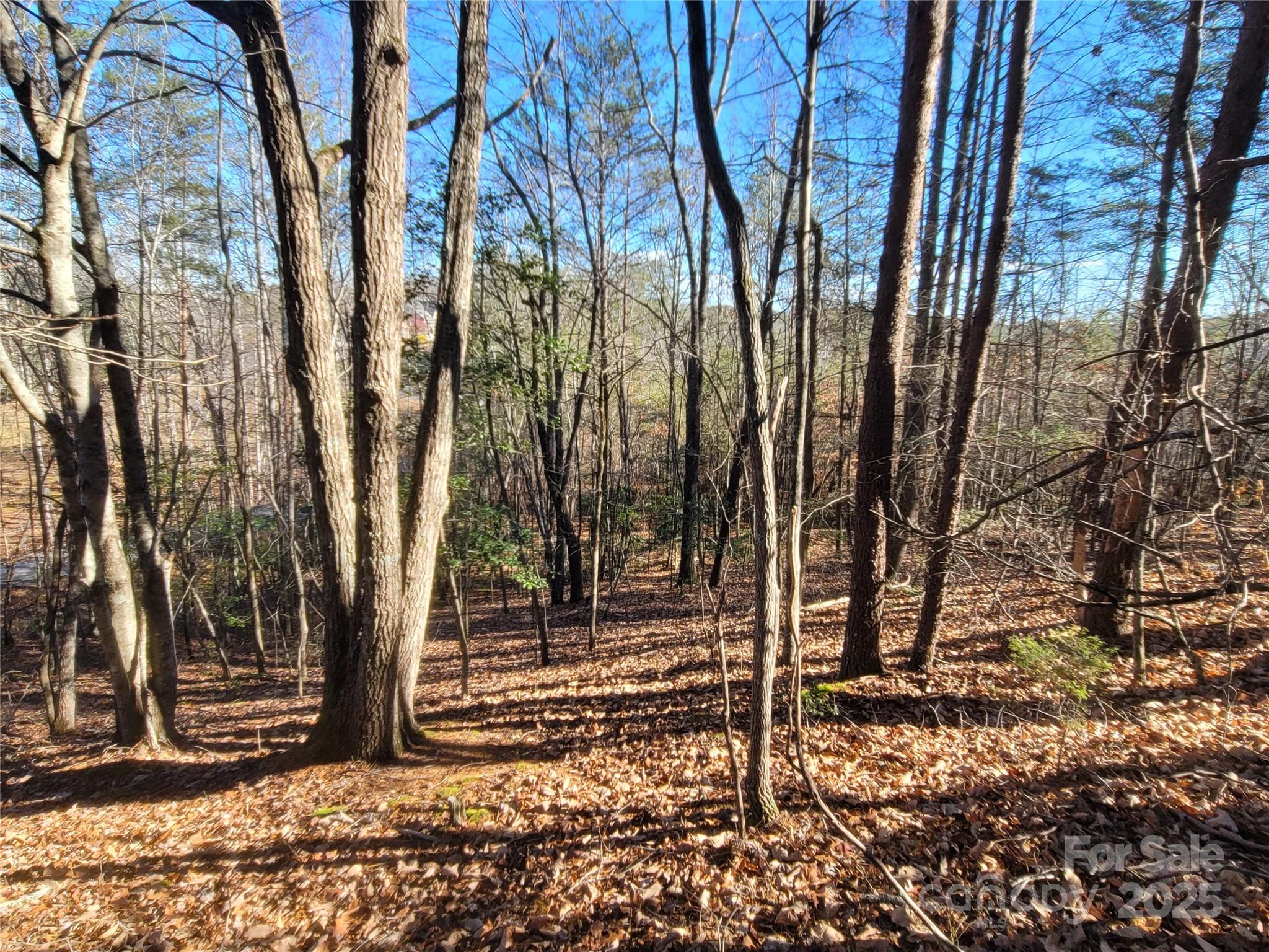 0 Mcowenben Pass Lake Lure NC 28746