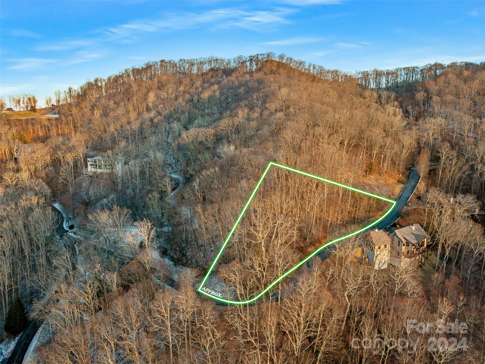 Lot 17 Old Growth Forest Road Burnsville NC 28714