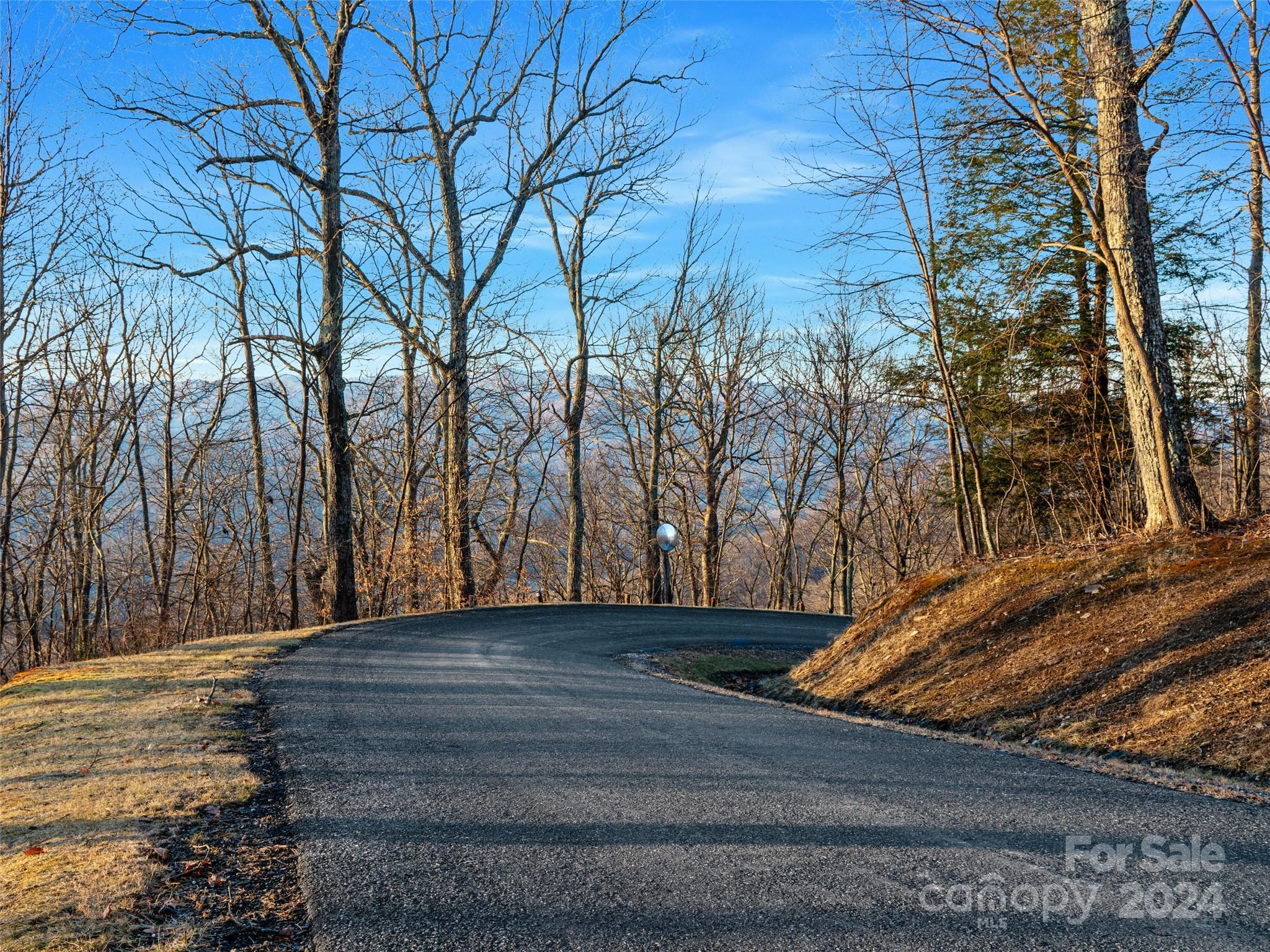 Lot 17 Old Growth Forest Road Burnsville NC 28714